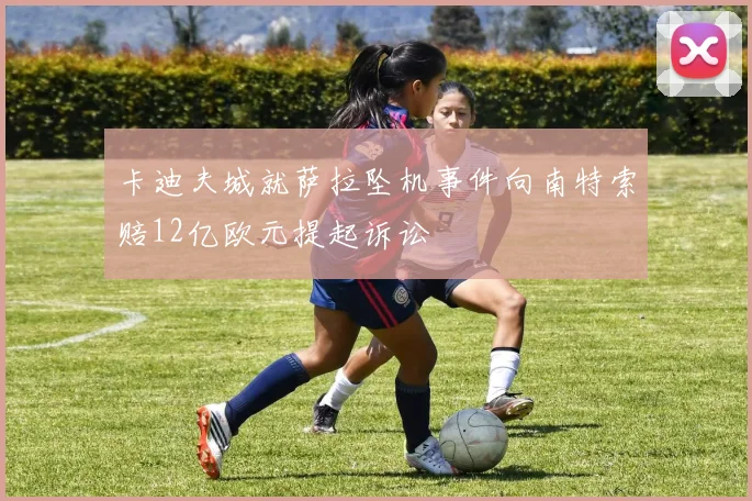 卡迪夫城就萨拉坠机事件向南特索赔12亿欧元提起诉讼
