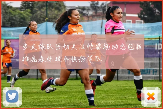 多支球队密切关注特雷杨动态包括雄鹿森林狼和快船等队