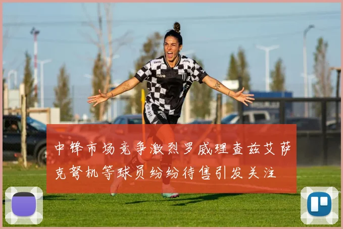 中锋市场竞争激烈罗威理查兹艾萨克弩机等球员纷纷待售引发关注