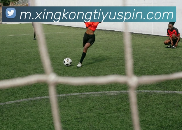 星空体育平台生态图